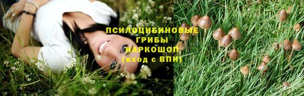 молекула духа Алексеевка