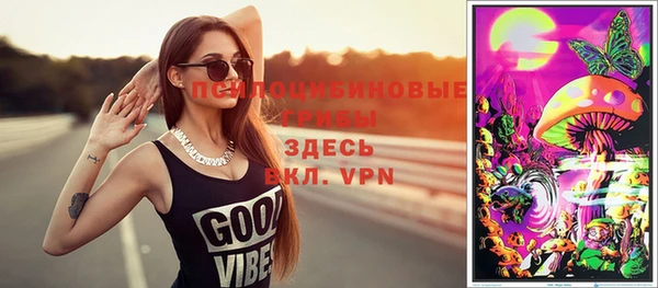молекула духа Алексеевка